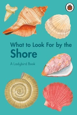 Becky Brown - What to Look For by the Shore, Inbunden