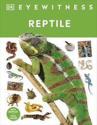 bokomslag Reptile