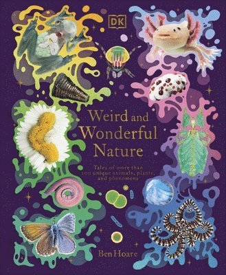 Ben Hoare - Weird and Wonderful Nature, Inbunden