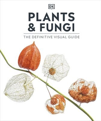 bokomslag Plants and Fungi