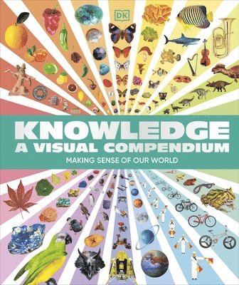 bokomslag Knowledge A Visual Compendium