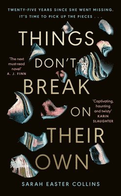 Sarah Easter Collins - Things Don’t Break On Their Own, Inbunden