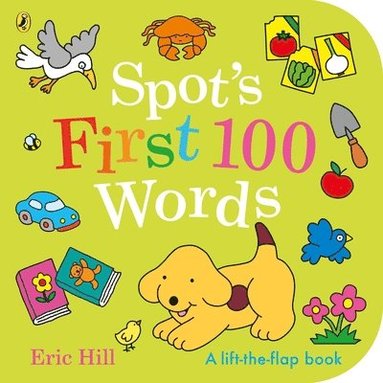 bokomslag Spot's First 100 Words
