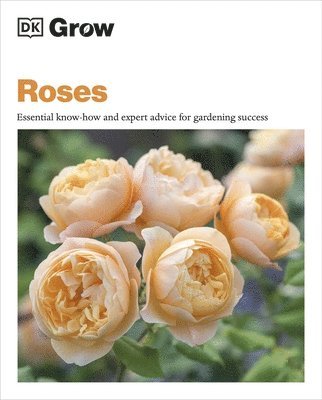 bokomslag Grow Roses