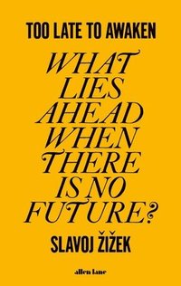 bokomslag Too Late to Awaken : What Lies Ahead When There is No Future?