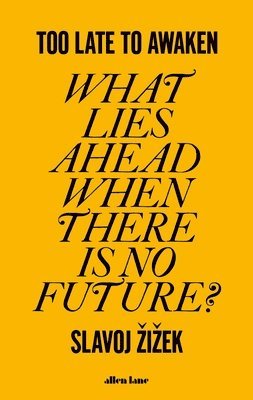 bokomslag Too Late to Awaken : What Lies Ahead When There is No Future?