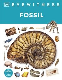 bokomslag Fossil