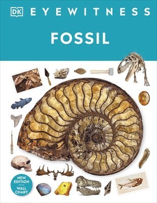 Fossil 1