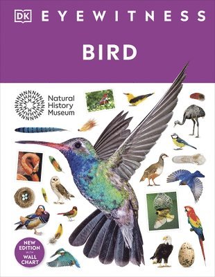 DK - Bird, Inbunden
