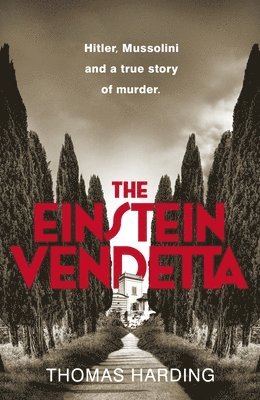 Einstein Vendetta