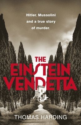 The Einstein Vendetta 1