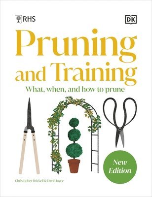 RHS Pruning and Training 1