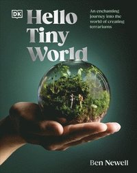 bokomslag Hello Tiny World