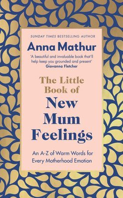 bokomslag The Little Book of New Mum Feelings