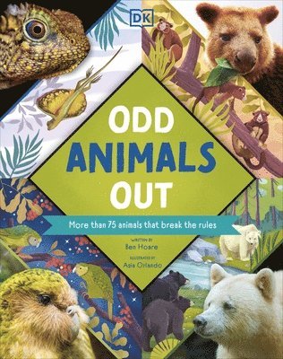 Ben Hoare - Odd Animals Out, Inbunden
