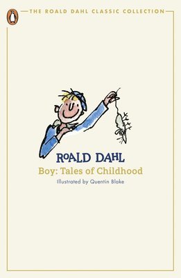 Roald Dahl - Boy, Häftad