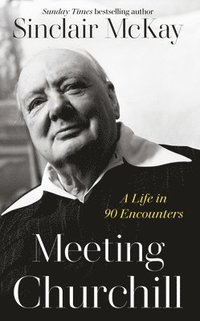 bokomslag Meeting Churchill