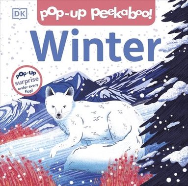 DK - Pop-up Peekaboo! Winter, Kartonnage