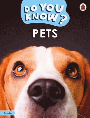 bokomslag Do You Know? Starter Level - Pets