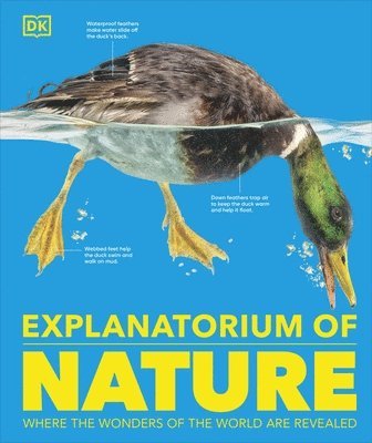 Explanatorium of Nature 1