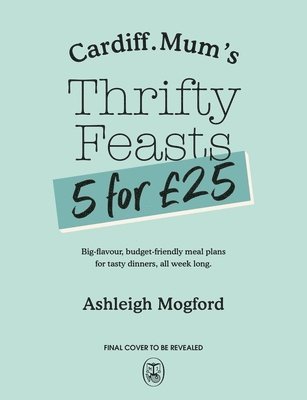 bokomslag Cardiff Mum's The 5 for £25 Book
