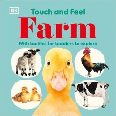 bokomslag Touch and Feel Farm