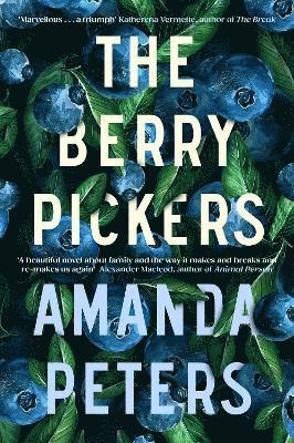 bokomslag The Berry Pickers