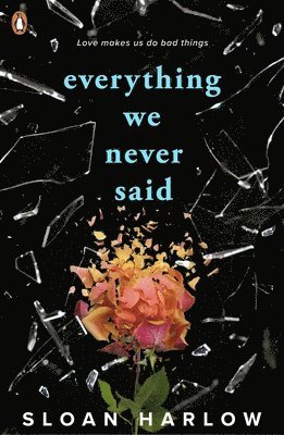 Everything We Never Said 1