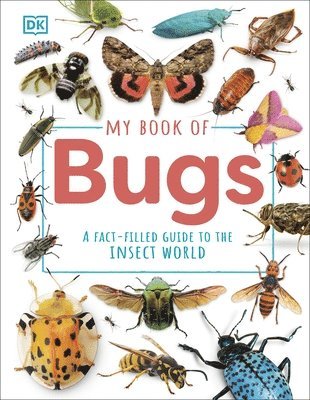 bokomslag My Book of Bugs