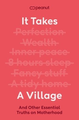bokomslag It Takes a Village