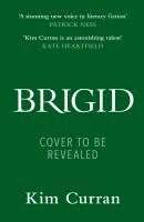 bokomslag Brigid