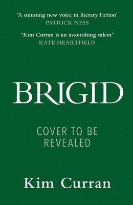 bokomslag Brigid