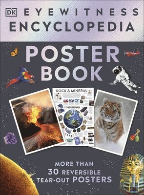 bokomslag Eyewitness Encyclopedia Poster Book