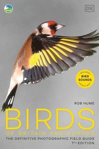 bokomslag Rspb Birds of Britain and Europe