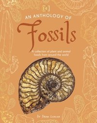 bokomslag An Anthology of Fossils