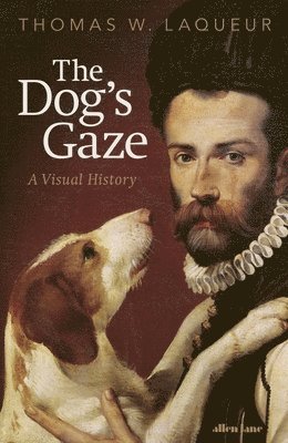 Dog's Gaze