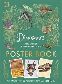 bokomslag Dinosaurs and Other Prehistoric Life Poster Book