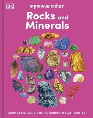 Eyewonder Rocks and Minerals 1