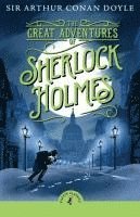 bokomslag The Great Adventures of Sherlock Holmes