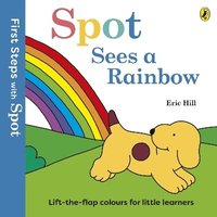 bokomslag First Steps with Spot: Spot Sees a Rainbow