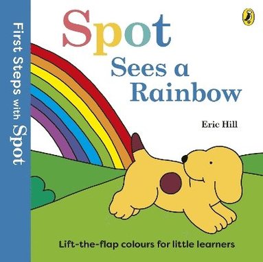 bokomslag First Steps with Spot: Spot Sees a Rainbow