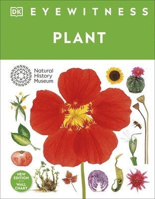 DK - Eyewitness Plant, Inbunden