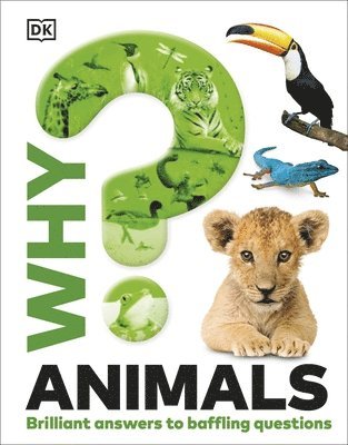 bokomslag Why? Animals