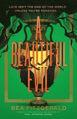 bokomslag A Beautiful Evil