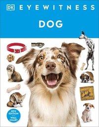bokomslag Eyewitness Dog