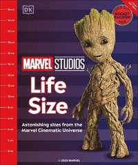 bokomslag Marvel MCU Life Size