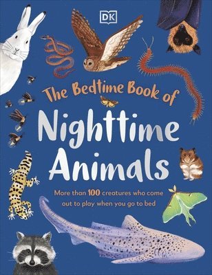 DK, Dk - Bedtime Book of Nighttime Animals, Inbunden
