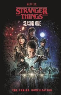 bokomslag Stranger Things: Season One
