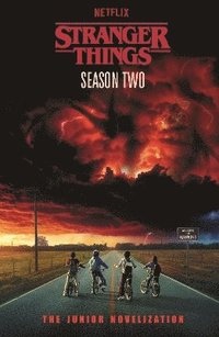 bokomslag Stranger Things: Season Two