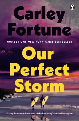 Our Perfect Storm
